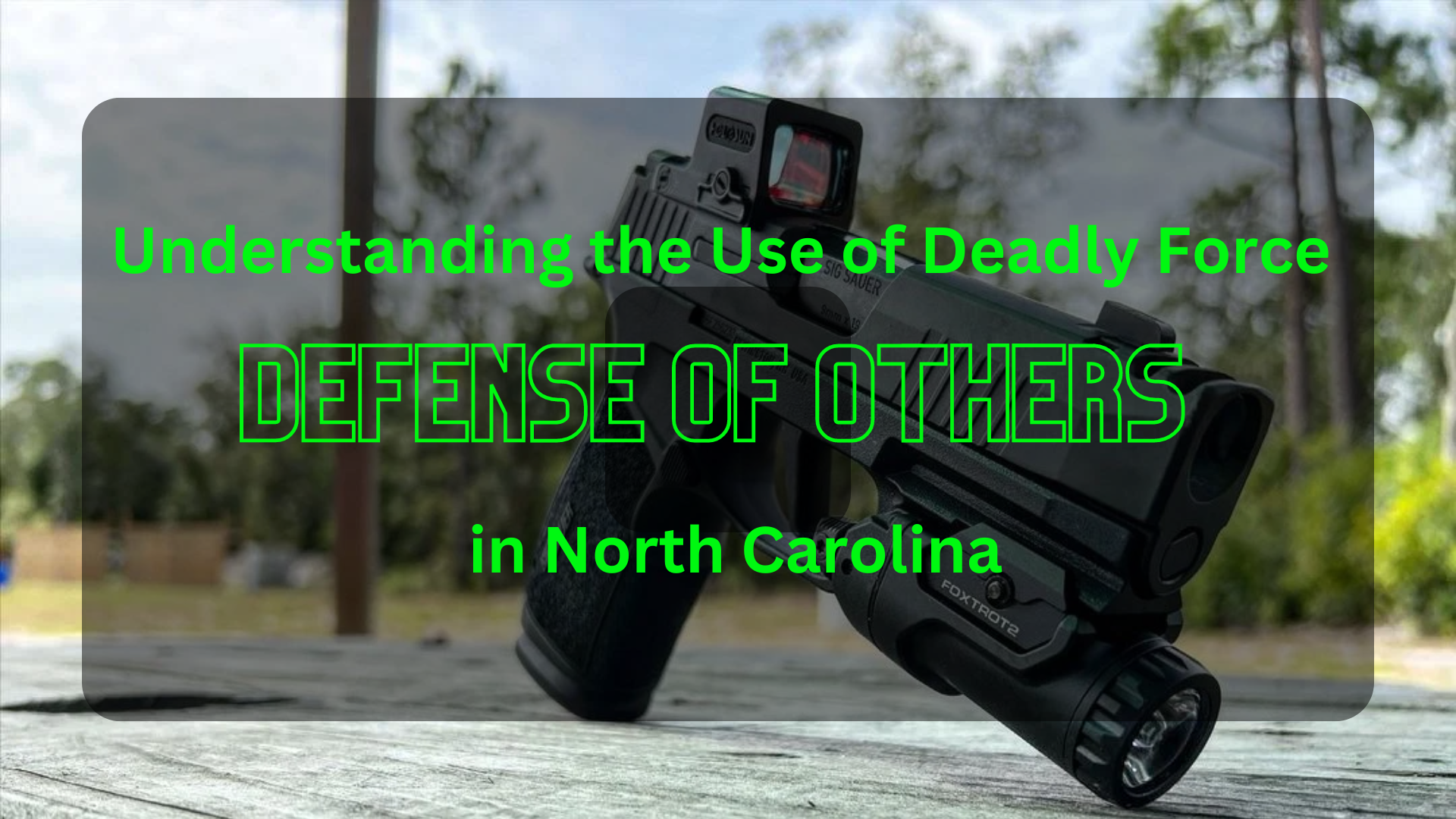 Deadly Force Examples Understanding the Use of Deadly Force in Defense of Others in North Ca ...